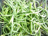 garlic scapes, June 2014